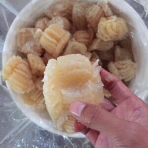 Fresh and Frozen Salted Fish Products (Jellyfish,Stockfish,Mackerel)