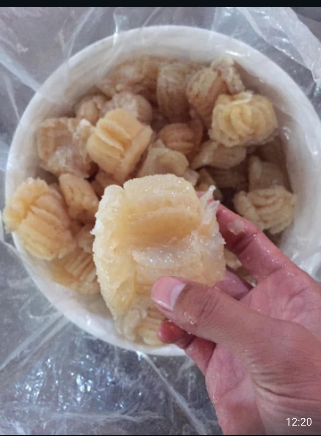 Fresh and Frozen Salted Fish Products (Jellyfish,Stockfish,Mackerel)